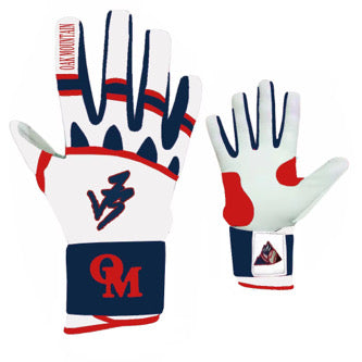 Diamond Series - School Addition - Oak Mountain Navy